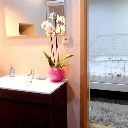 Paradisiacal In With Private Pool