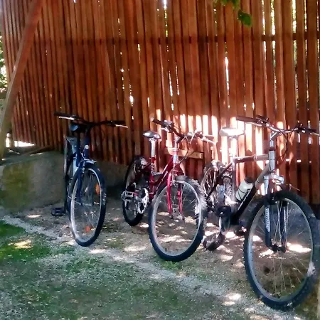 Paradisiacal In With Private Pool * Lousada